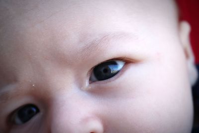 Close-up portrait of cute baby