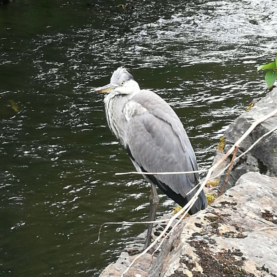 River Walk