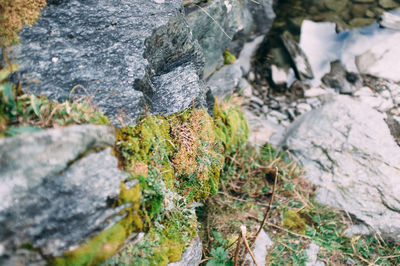 Close-up of rocks on rock