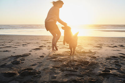 Portugal, algarve, woman with dog on the beach at sunset