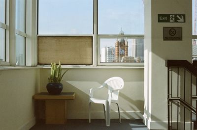 Potted plant on window