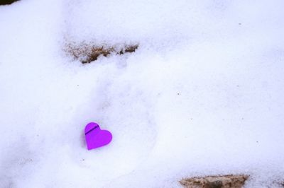 Close-up of snow