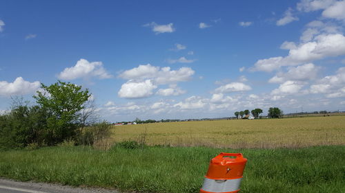 Scenic view of grassy field against sky