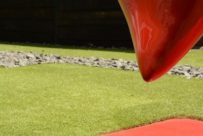 Close-up of red leaf on grassy lawn