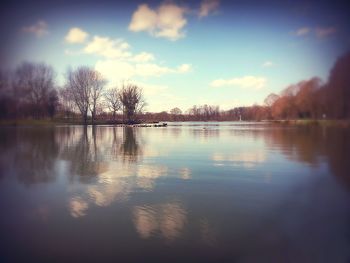 Reflection of trees in water
