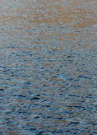 Full frame shot of rippled water