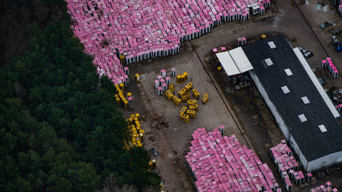 High angle view of pink flowers on road by trees