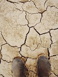 Full frame shot of stone wall
