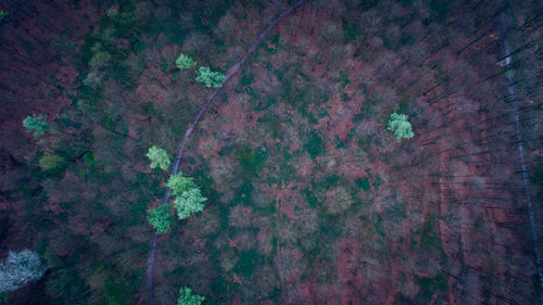 Full frame shot of multi colored background