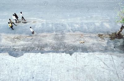 High angle view of people in water