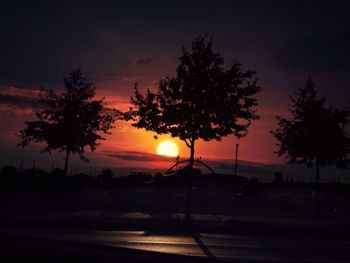 Silhouette of trees at sunset