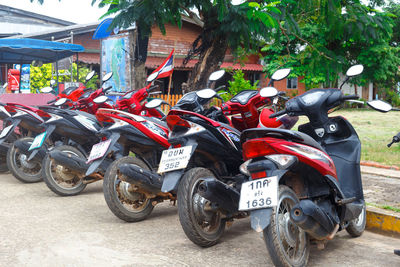 Bicycles parked on street in city