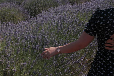 Low section of woman standing on field by purple flowering plants