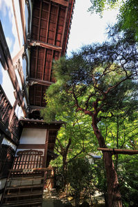 Low angle view of trees and buildings against sky