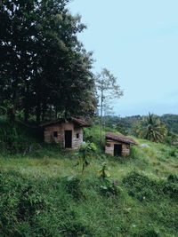 Abandoned house on field by trees against sky