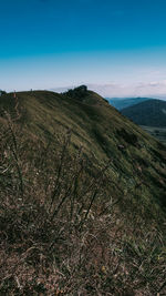 Scenic view of landscape against blue sky
