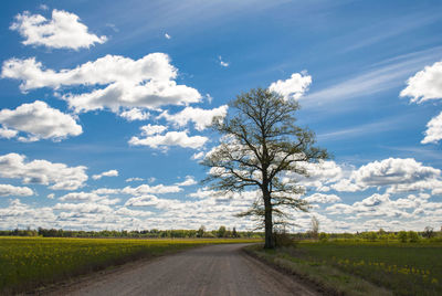 Scenic view of field against cloudy sky