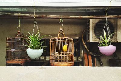 Clothes hanging in cage