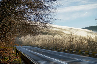 Road amidst bare trees against sky