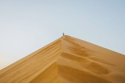 Back view of unrecognizable lonely tourist strolling along in amazing landscape of desert with sand dune during sunset in morocco