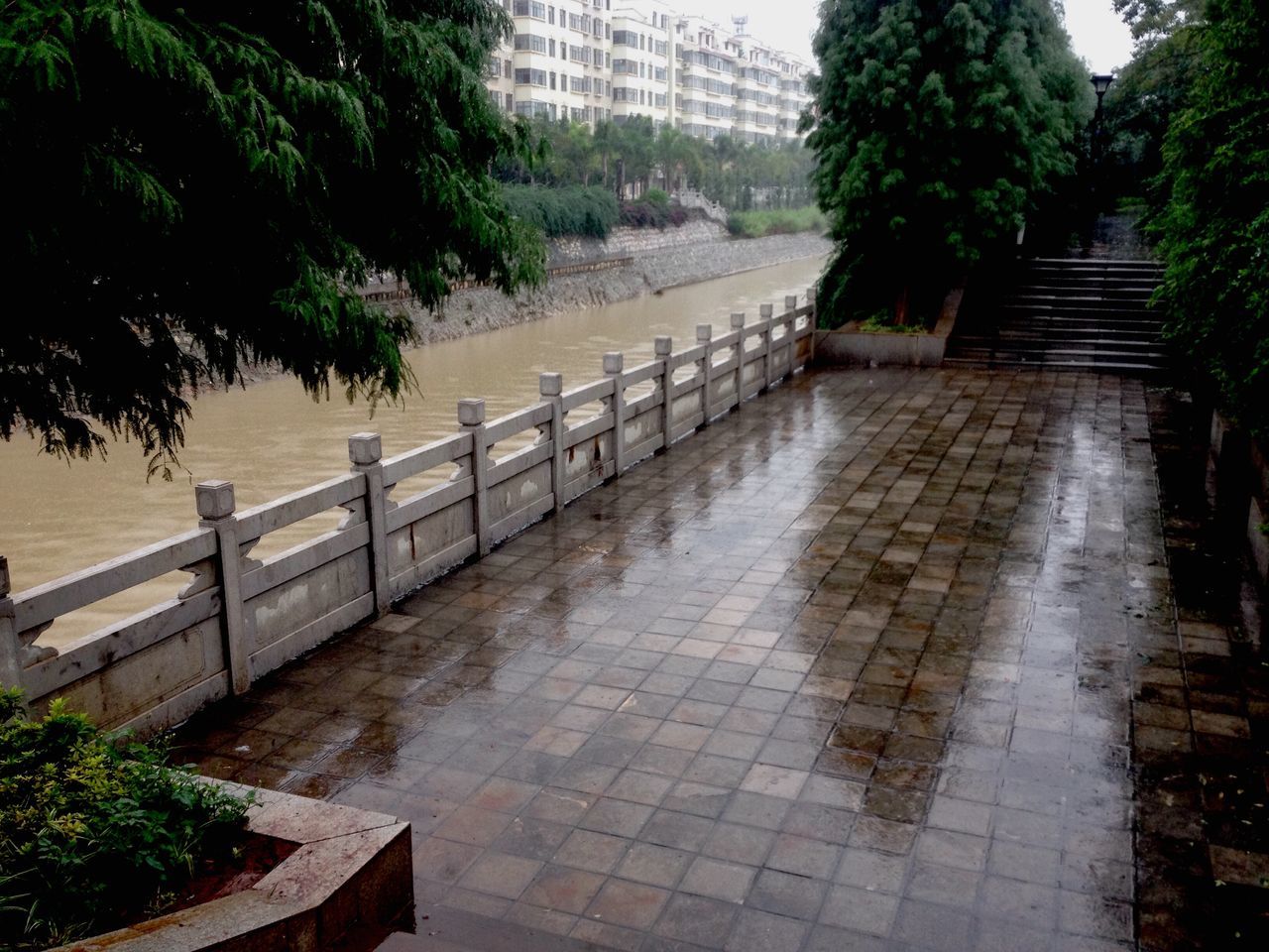 water, railing, tree, built structure, the way forward, architecture, fence, plant, footpath, day, nature, growth, walkway, outdoors, park - man made space, footbridge, no people, tranquility, sunlight, river