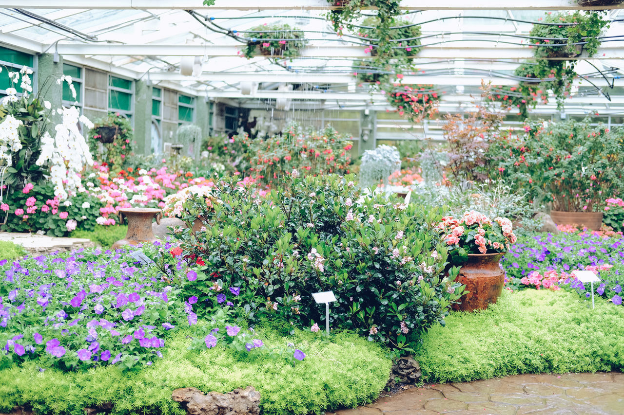 POTTED PLANTS IN A GARDEN