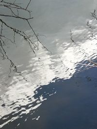 Close-up of birds in water against sky