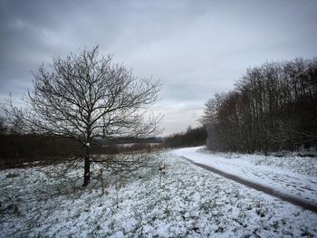 Scenic view of snow covered landscape