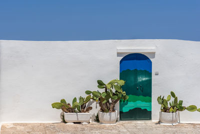 Potted plant against building wall against clear blue sky