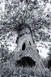 Low angle view of tree trunk on field