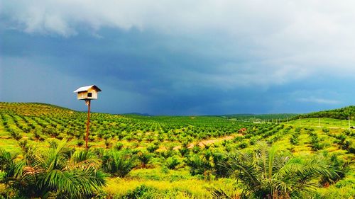 Scenic view of field against cloudy sky