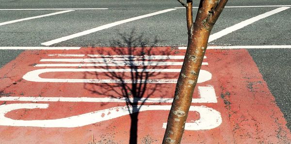 High angle view of road sign on street