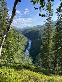 Scenic view of river