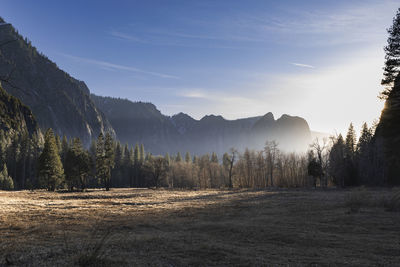 Sunlight washes through the valley floor at sunset in yosemite np