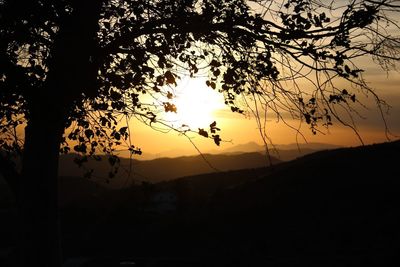 Silhouette tree against sky during sunset