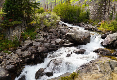 Stream flowing through rocks in forest