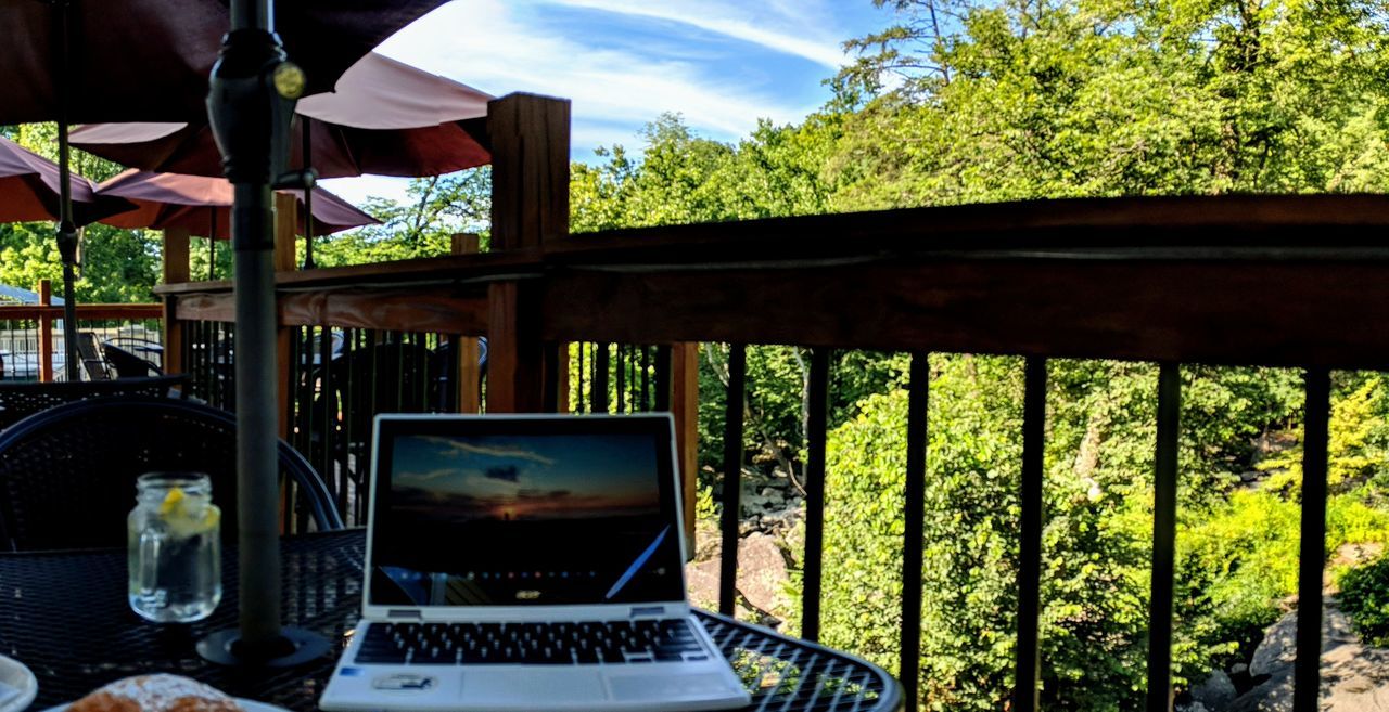 tree, plant, no people, nature, day, computer, table, technology, connection, wireless technology, laptop, communication, glass - material, transparent, outdoors, window, sky, forest, food and drink, water