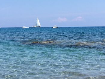 Sailboat sailing in sea against sky