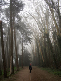 Man standing on dirt road amidst trees in forest during foggy weather at presidio park