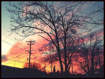 Silhouette of trees at sunset