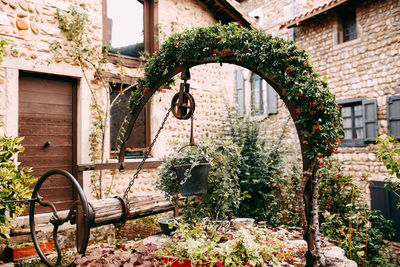 Plants against old building