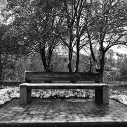 Image of bench in park