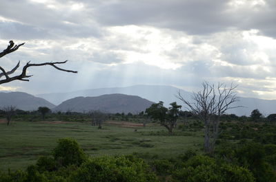 Scenic view of landscape against sky