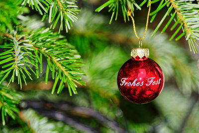 Close-up of christmas decoration hanging on tree