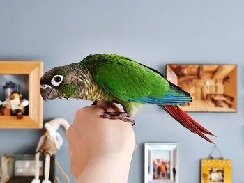 Woman perching on hand