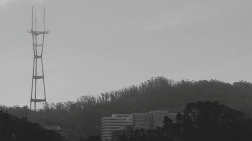 Low angle view of trees against clear sky