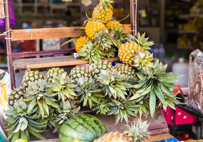 Close-up of potted plant for sale at market stall