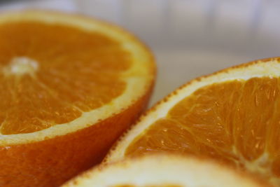 Close-up of orange