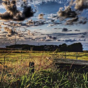 Scenic view of grassy field against cloudy sky