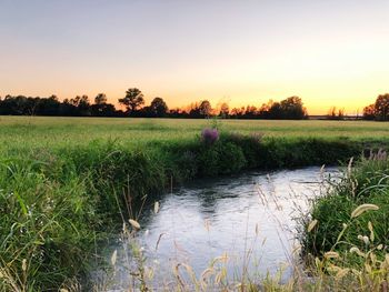 Scenic view of field against sky during sunset